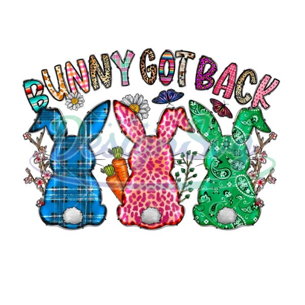 Bunny Got Back Funny Easter Day PNG