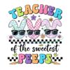 Teacher Of The Sweetest Peeps PNG