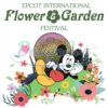 mickey-epcot-international-festival-png
