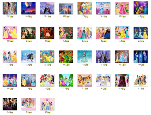 36 Files Disney Princess Designs 20oz Skinny