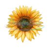 sunflower-sublimation-png-watercolor-sunflower-hand-drawing-png-cute-sunflower-png-western-sunflower-png-sunflower