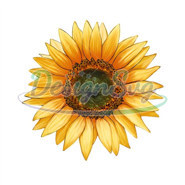 sunflower-sublimation-png-watercolor-sunflower-hand-drawing-png-cute-sunflower-png-western-sunflower-png-sunflower