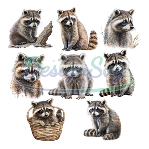 raccoon-clipart-watercolor-woodland-animals-clipart-baby-animals-cute-raccoon-png-junk-journal-digital-planner