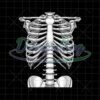 Skeleton Rib Cage Halloween Png