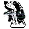 bluetick-coonhound-head-svg-bluetick-coonhound-head-clipart-bluetick-coonhound-head-svg-files-for-cricut