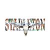chris-stapleton-western-bull-skull-png-download-files
