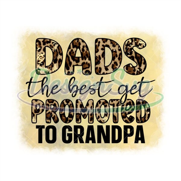 Dads The Best Get Promoted To Grandpa Png
