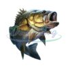 jumping-bass-png-fish-design-fish-png-hand-drawn-fish-png