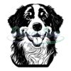 bernese-mountain-head-svg-bernese-mountain-head-clipart-bernese-mountain-dog-head-svg