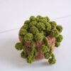 Baby String Pearls Crochet Pattern, Amigurumi Plant Pattern, Crochet Home Decor, Digital PDF Pattern 15 il 794xN.6425859166 ljbj