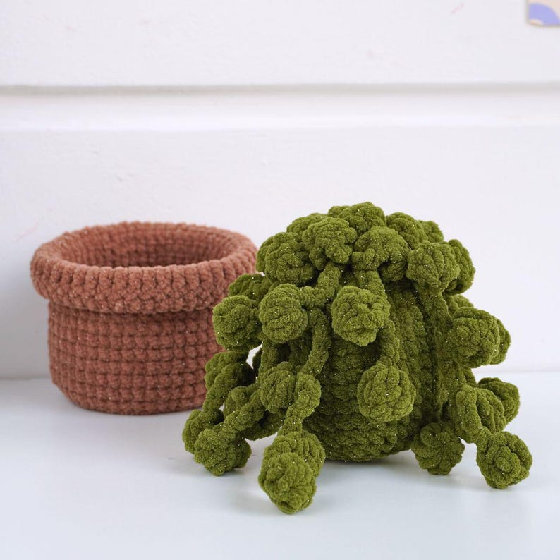 Baby String Pearls Crochet Pattern, Amigurumi Plant Pattern, Crochet Home Decor, Digital PDF Pattern 7