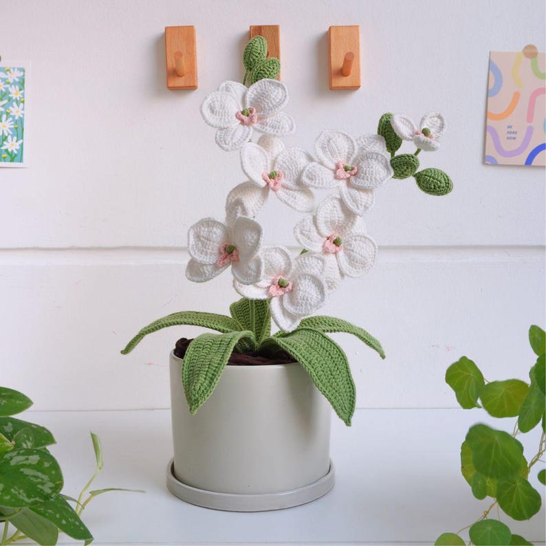 Orchid Crochet Pattern, Flower Crochet Patterns, Crochet Home Decor, Flower Basket Crochet Pattern 2