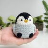 Penguin No Sew Crochet Pattern, No Sew Amigurumi Crochet Patterns, Crochet Pattern, Plushie Pattern 4 il 794xN.5522327572 9xbw